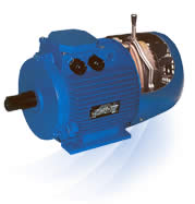 Электродвигатели с электромагнитным тормозом